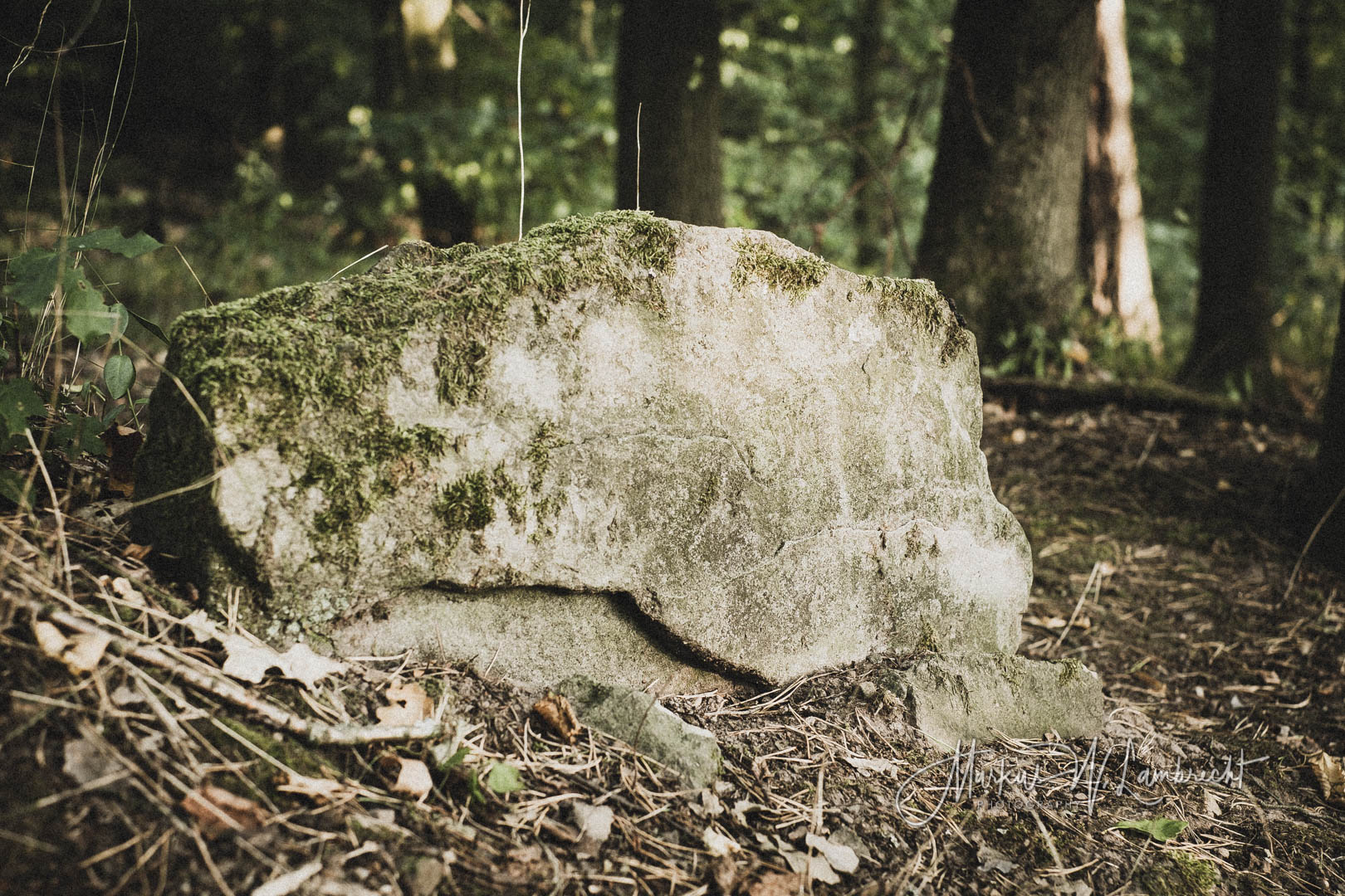 Rotenburg an der Fulda